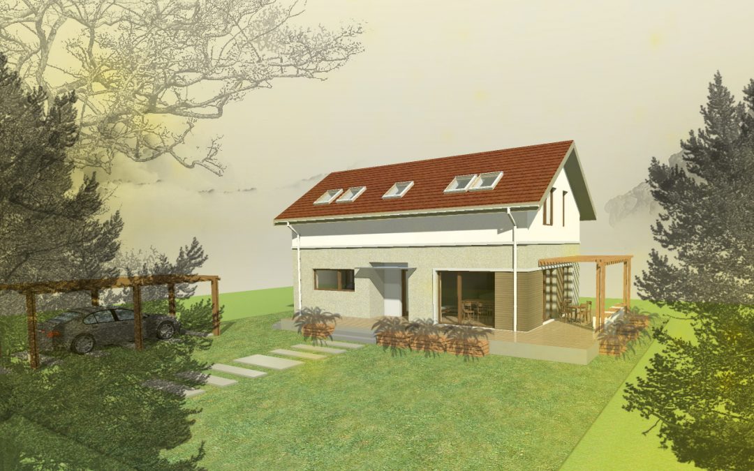Proiect casa mica P+M